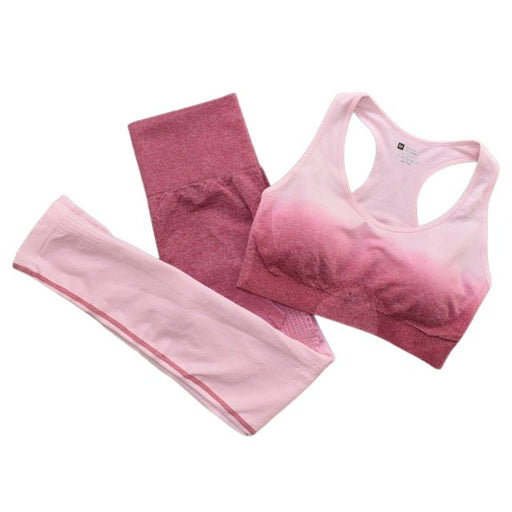 Seamless Ombre Sports Bra & Leggings Gym Set - Flamin' Fitness